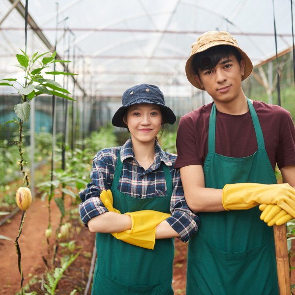 The Green Economy Creating New Career Paths in South Africa